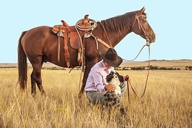 horse with human